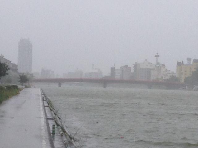 鏡川、台風RUN