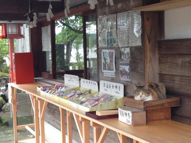 一條神社、神様なのかも知れない