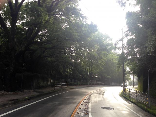 筆山から北へ突き出した小さな尾根