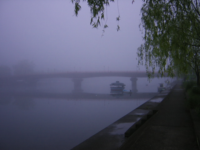 霧のなかに浮かび上がる天神大橋