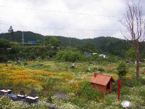 STAGE 谷相のハーブ畑