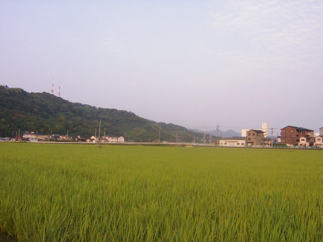 五台山と野中兼山