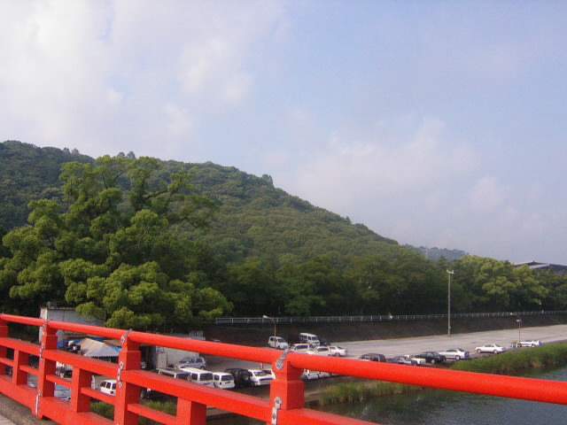 天神の大クスノキ