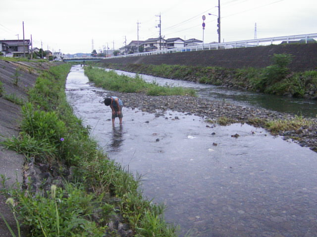 久万川上流探検隊