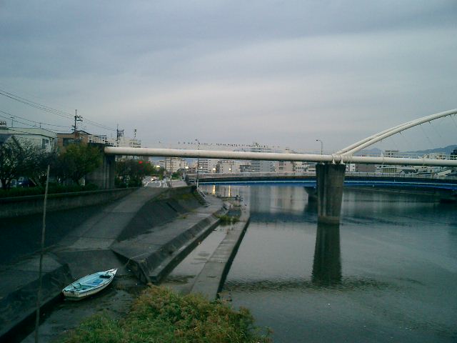 水道橋の鳩さん