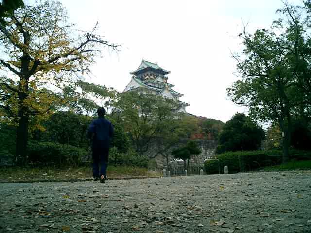 大阪城の紅葉