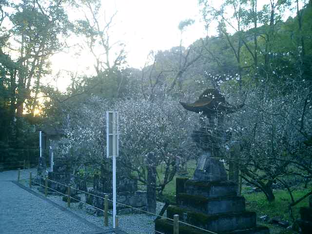 潮江天満宮の「梅園」