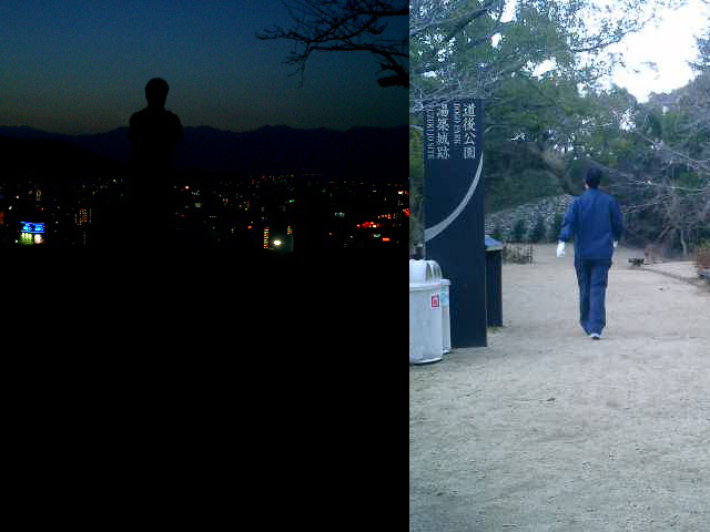 松山城と湯築城