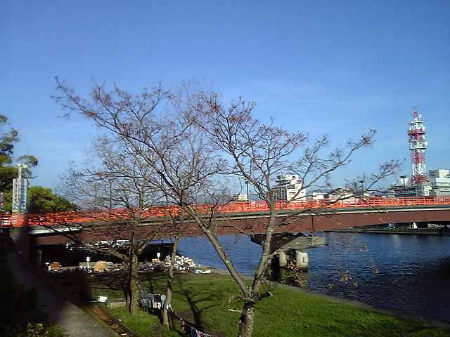 天神大橋の朝食風景