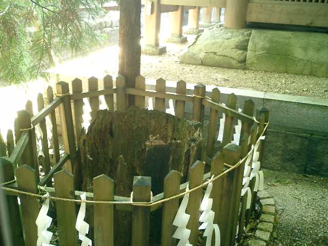 潮江天満宮、「霊杉之碑」