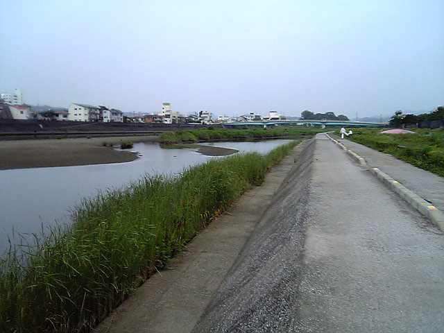 龍馬の泳いだ鏡川、大きな蛇