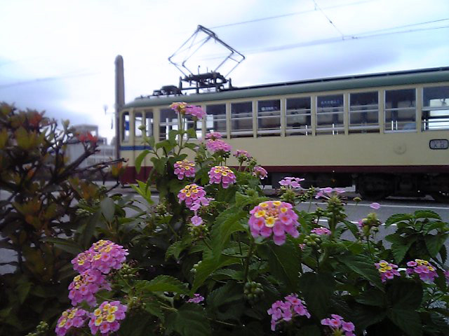 鏡川潮江橋の「七変化」と路面電車