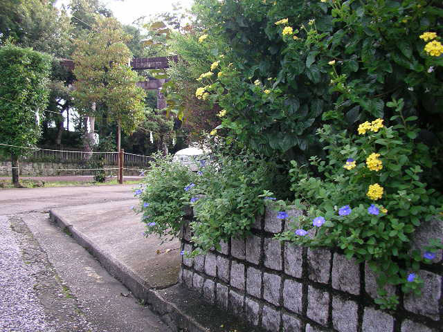 潮江天満宮参道脇のきれいな花々