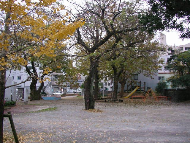 松渕川公園の思いで
