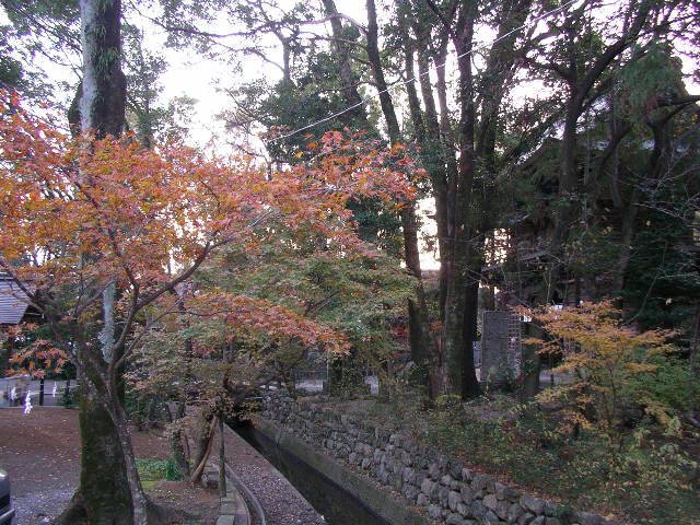 潮江天満宮の紅葉