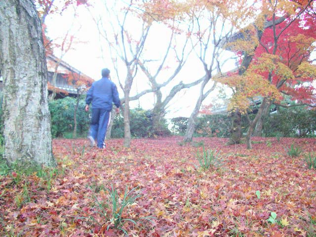 京都、真如堂の紅葉
