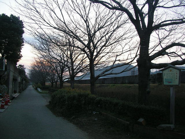 築屋敷の桜並木