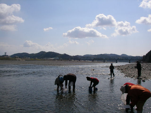 仁淀川ガサガサ探偵団