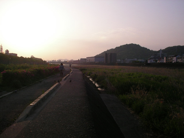 朝の鏡川、龍馬の泳いだ川