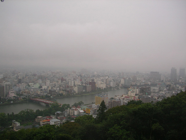 雨に潤う高知市内を筆山から眺める