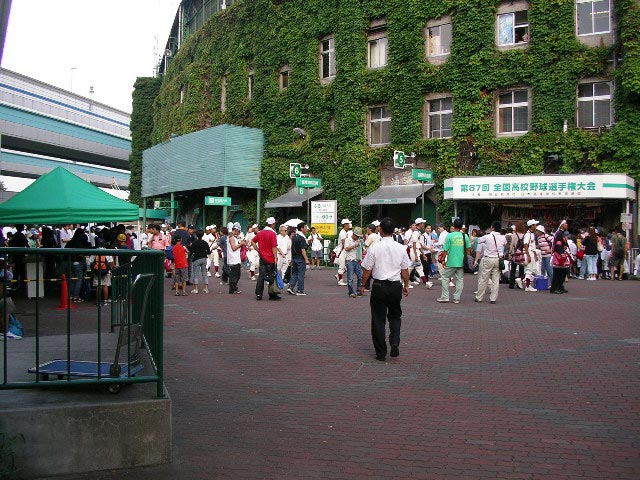 甲子園球場、高知高校、よさこい
