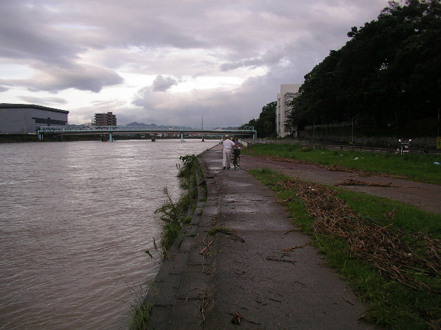 台風14号の後の鏡川