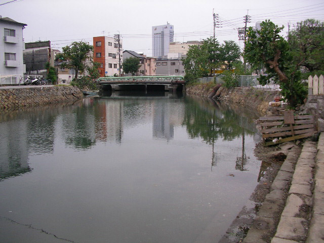 新堀川、たくさんの生き物たち