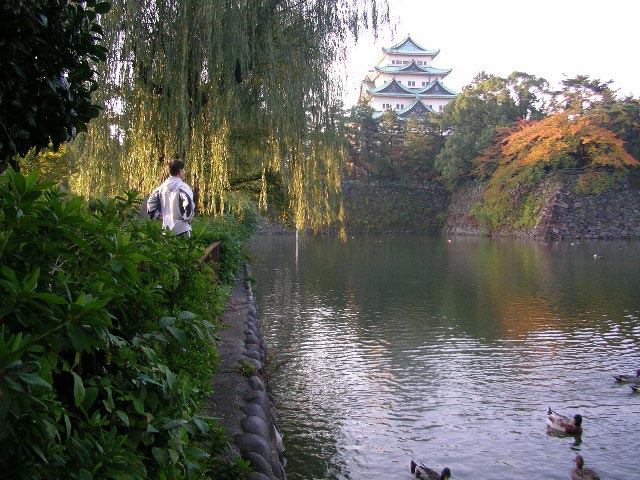 名古屋城、小牧空港、世界の山ちゃん
