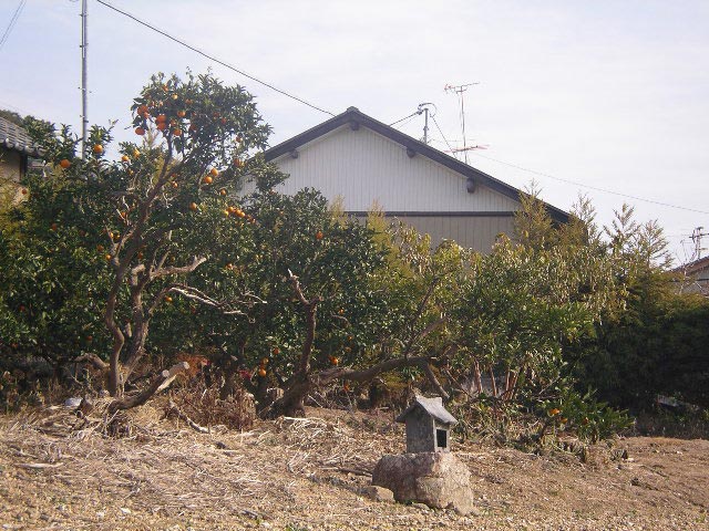 山田の道沿いの小さな小さな祠