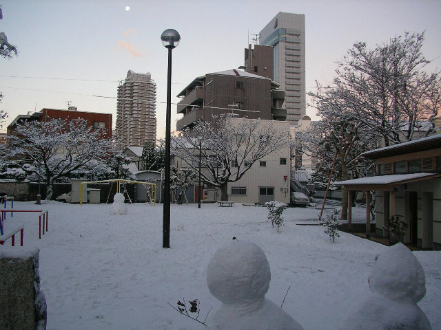 大雪!高知市内。東九反田公園の大雪だるま