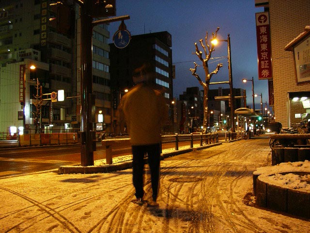 またまた雪の高知市内、凍りついちょります