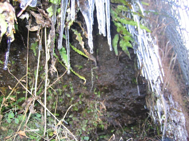 旧鏡村、役場の近くの夥しいつらら発見