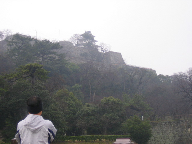 雨の丸亀城、石垣の美しさ