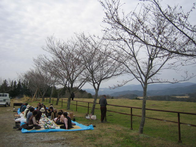 雪ヶ峰牧場で、桜の蕾を見ながら宴会をしました