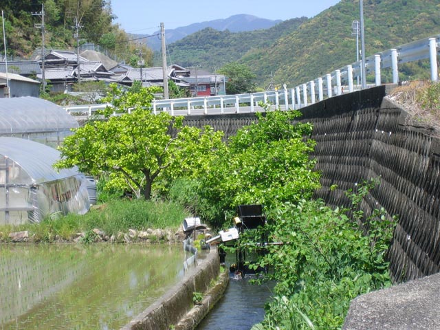 朝倉の水車、八代の舞台、伊野の鯉のぼりから蘇鶴温泉へ