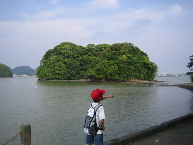 衣ヶ島、玉島、鎮若宮八幡宮