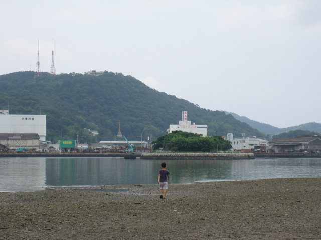 浦戸湾の底を歩いてきました