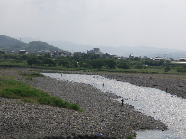物部川、鮎解禁と天竜川の友情