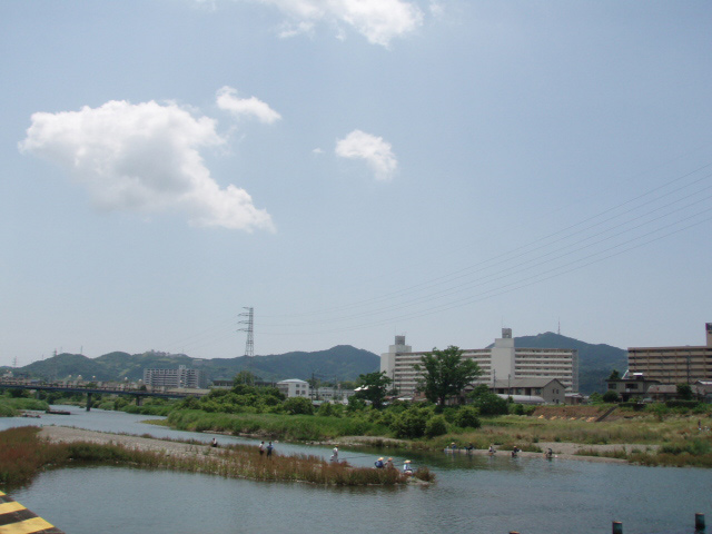 市街地を流れる鏡川で鮎釣り
