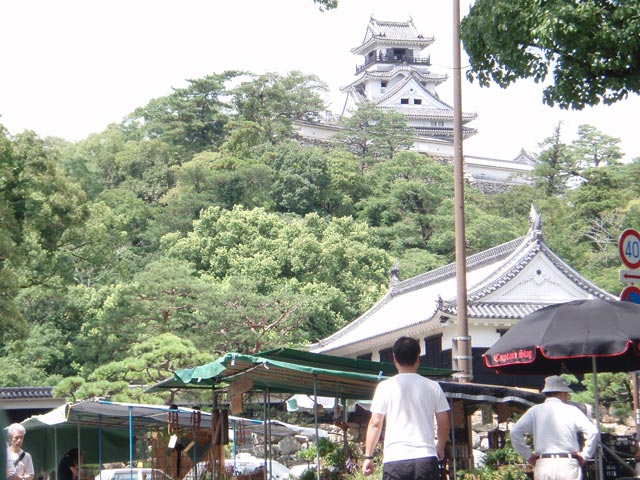 にっこり連続1600日記念、日曜市から高知城を見上げてみました