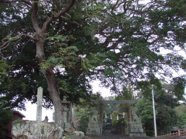 光陰矢のごとし、上岡八幡宮