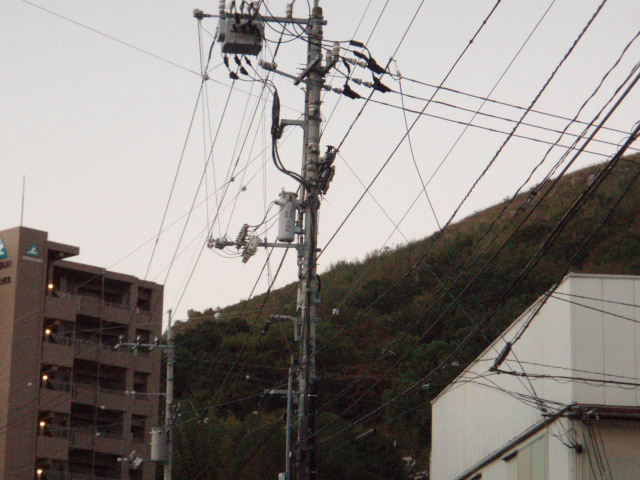 高見山、ライオン岩の謎