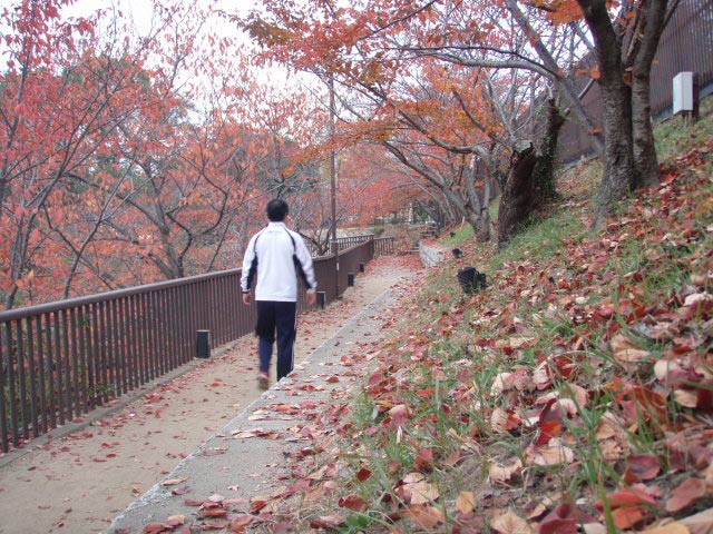 神戸、北野の遊歩道、紅葉がきれいです