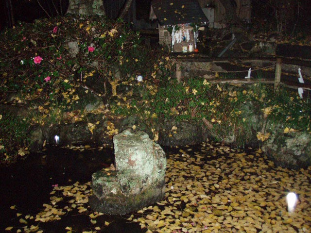 雨の神池