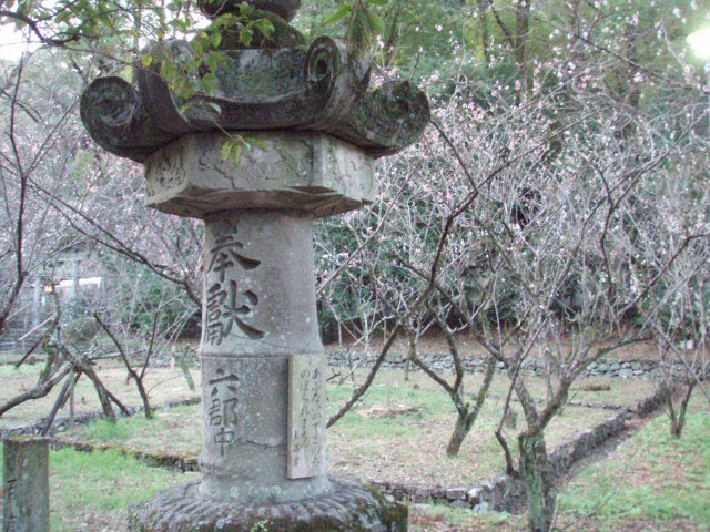 岩崎兄弟、吉田東洋さん、六郡中