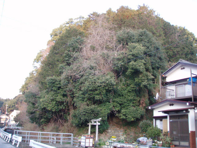 横浜城、水口城はここでしょうか