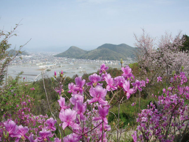 五台山、牧野植物園北園からの景色