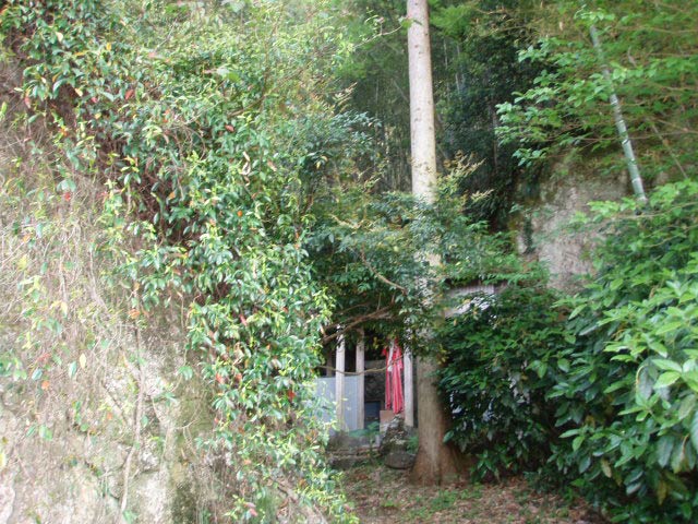 バーガ森の北斜面には弥生遺跡があります