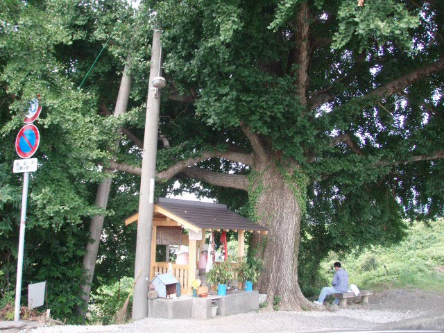 お千代地蔵の御堂が新築されちょりました