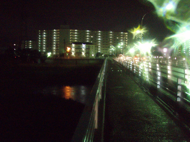 雨の紅葉橋、吉田東洋さんの首